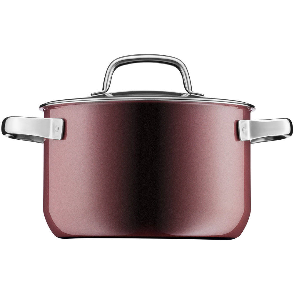 What makes our invincible WMF Fusiontec complete?